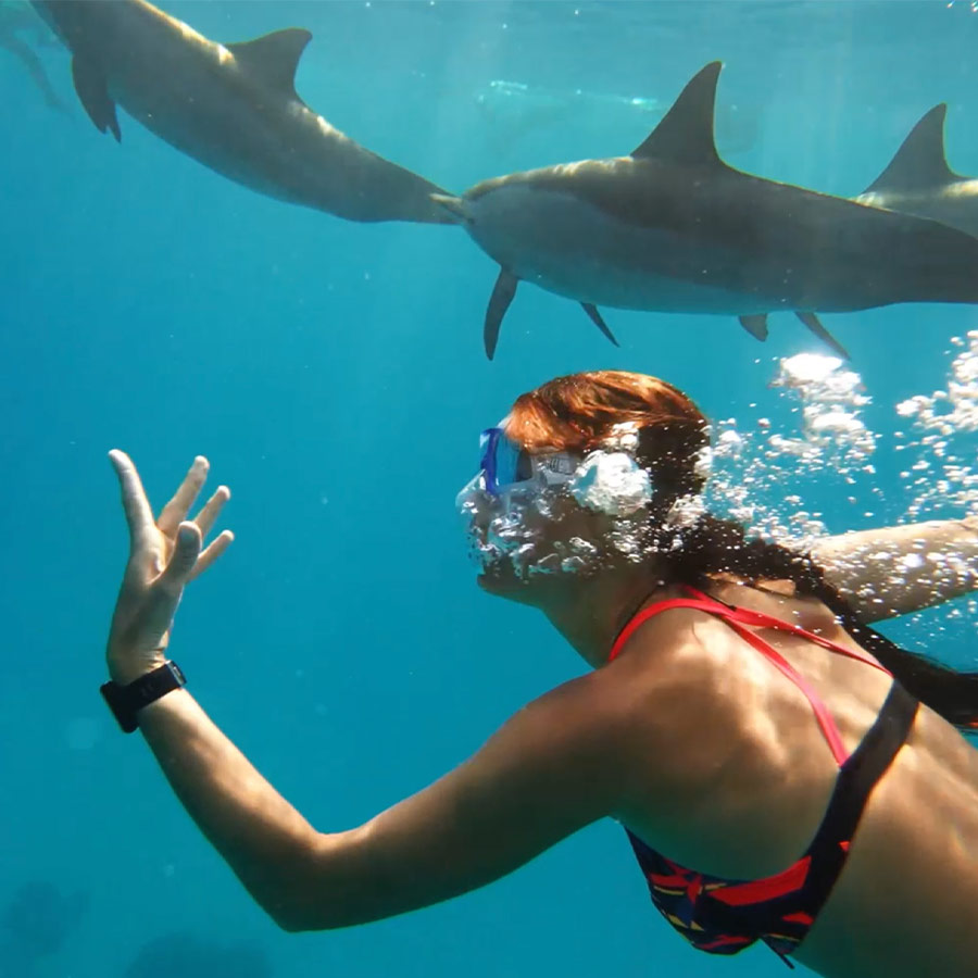 Captura de video en donde una mujer está nadando con delfines
